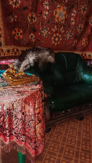 Furniture