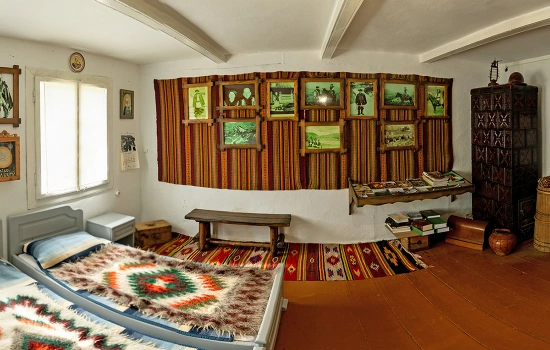 Музей Петра Шекерика-Доникового